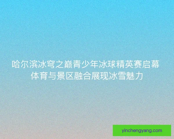 哈尔滨冰穹之巅青少年冰球精英赛启幕 体育与景区融合展现冰雪魅力